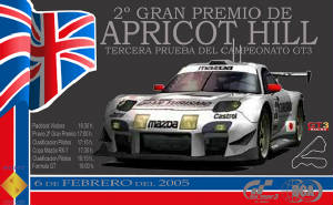 bandera_gt3_ahill_2.jpg