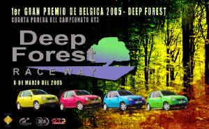 bandera_gt3_d_forest.jpg